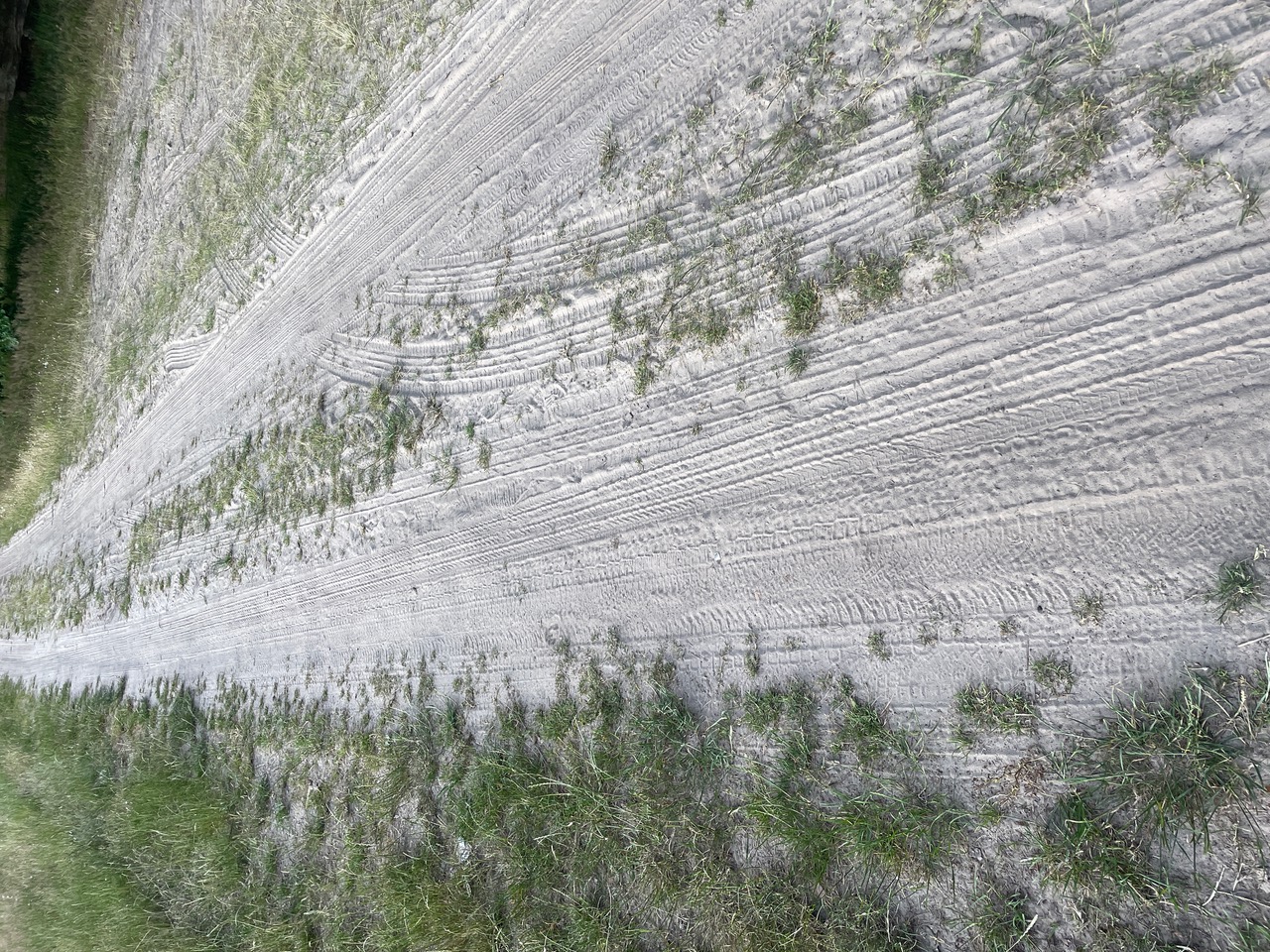 An unpaved, sandy path with some grass growing along the edges and in the middle. The path is well-trodden, with visible tire tracks and footprints.